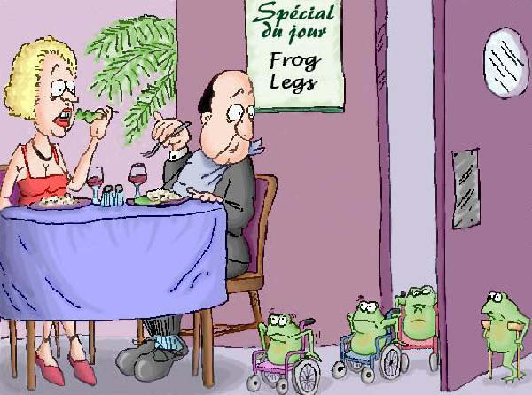 grenouille 0001-humourenvrac